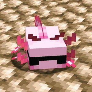 Meet your Posher, Uziel